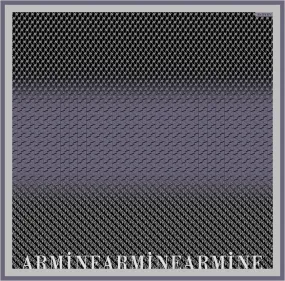 Armine Stella Women Silk Scarf No. 10